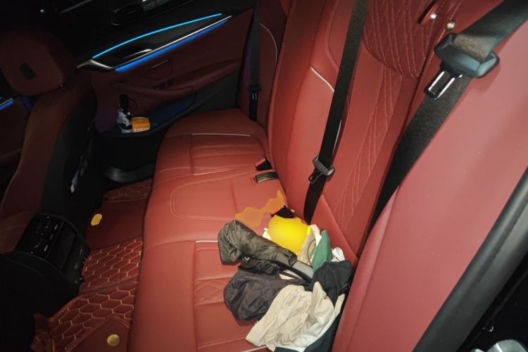 Used BMW 5 Series New Energy 2021 Restyled 535Le M Sport Package Left Rear Seat