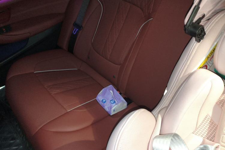 Used BMW 5 Series New Energy 2021 535Le Pioneer Edition M Sport Package Left Rear Seat