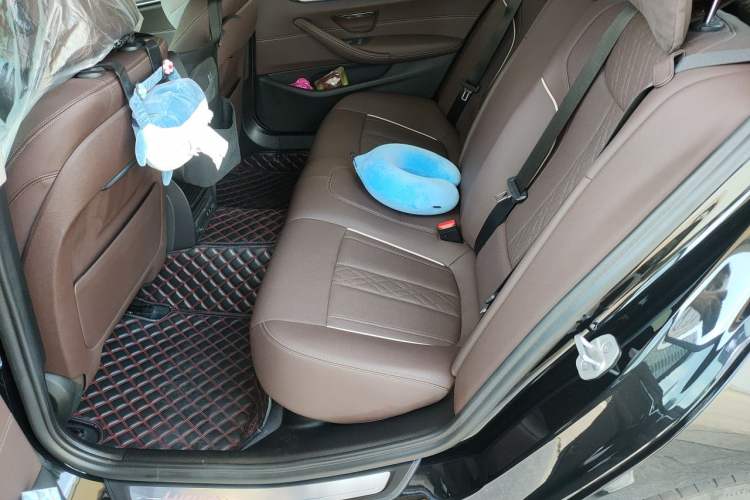Used BMW 5 Series New Energy 2021 535Le Luxury Package Left Rear Seat