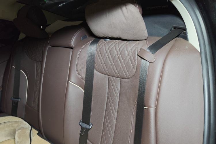 Used BMW 5 Series New Energy 2021 Updated 535Le Luxury Package Left Rear Seat