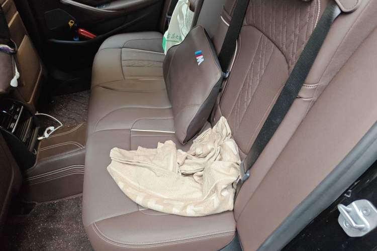Used BMW 5 Series New Energy 2021 535Le Pioneer Edition M Sport Package Left Rear Seat