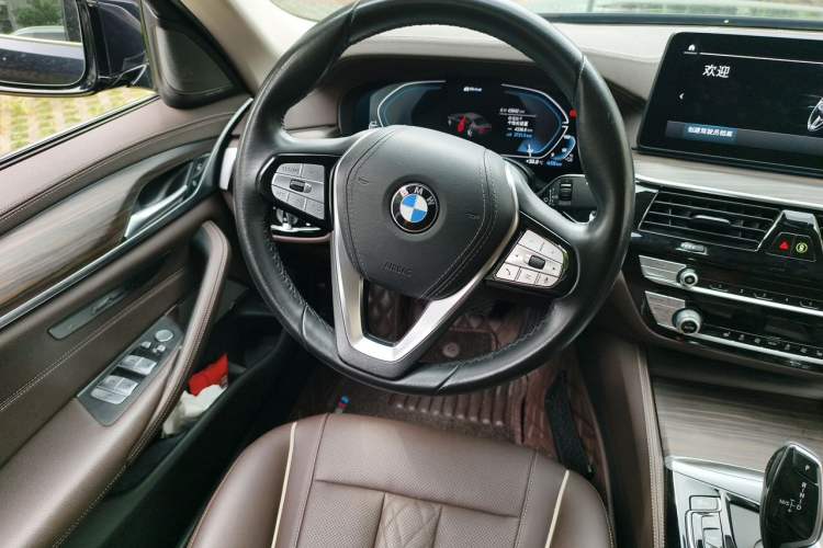 Used BMW 5 Series New Energy 2021 535Le Luxury Package Steering Wheel