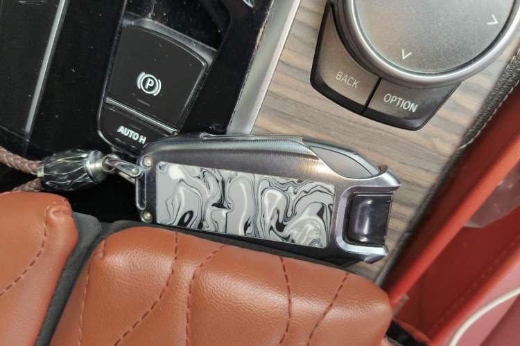 Used BMW 5 Series New Energy 2021 535Le Luxury Package Vehicle Key