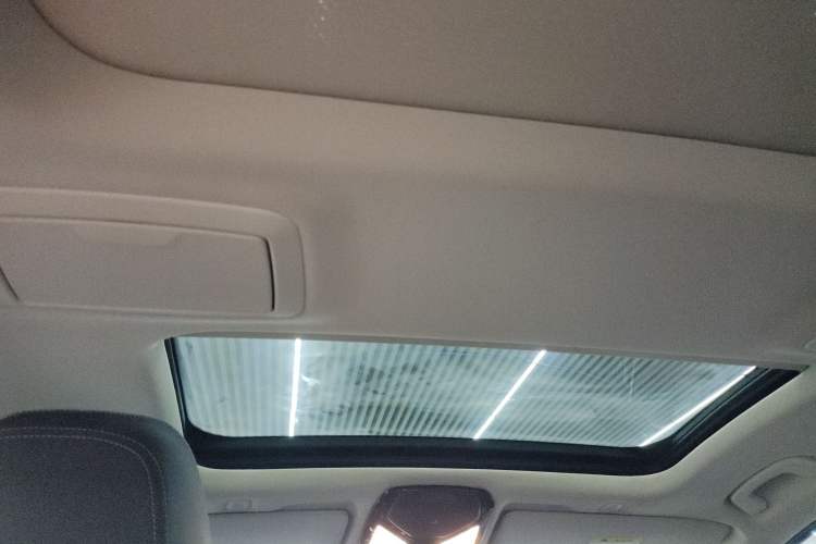 Used BMW 5 Series New Energy 2021 535Le Luxury Package Headliner