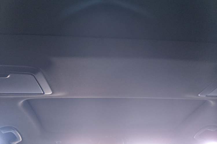Used BMW 5 Series New Energy 2021 535Le M Sport Package Headliner