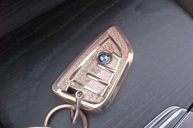 Used BMW 5 Series New Energy 2021 535Le M Sport Package Vehicle Key
