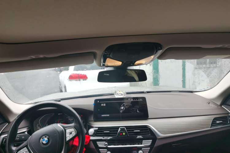 Used BMW 5 Series New Energy 2021 535Le Luxury Package Headliner