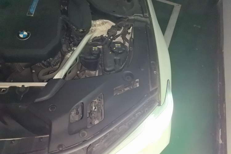 Used BMW 5 Series New Energy 2021 535Le M Sport Package Engine Bay Left