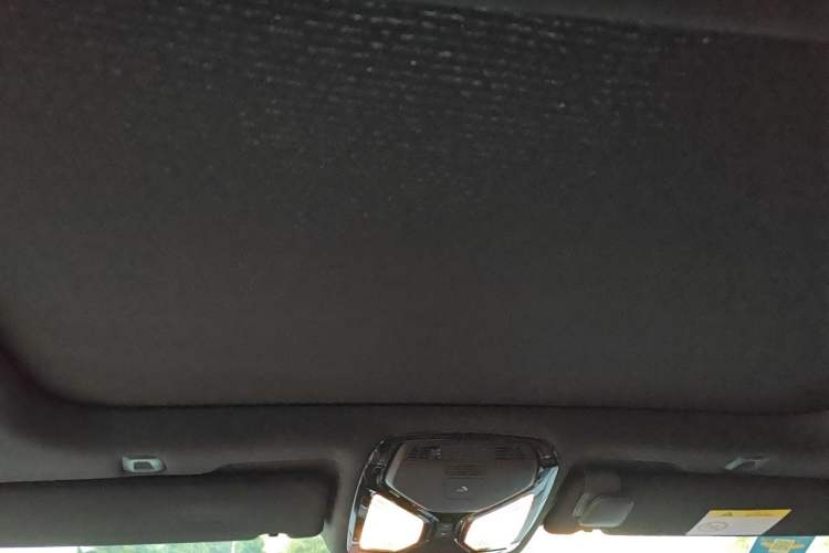 Used BMW 5 Series New Energy 2021 535Le M Sport Package Headliner