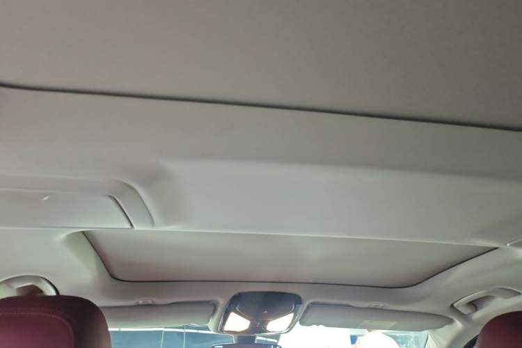 Used BMW 5 Series New Energy 2021 535Le Luxury Package Headliner