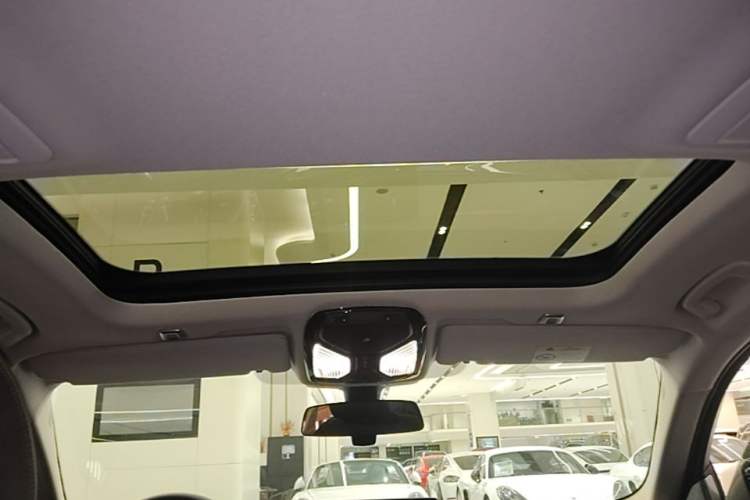 Used BMW 5 Series New Energy 2021 535Le Luxury Package Headliner