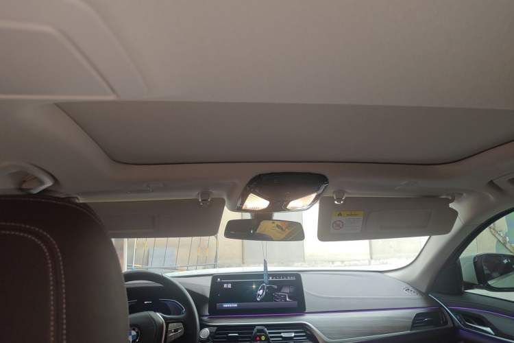 Used BMW 5 Series New Energy 2021 535Le Luxury Package Headliner