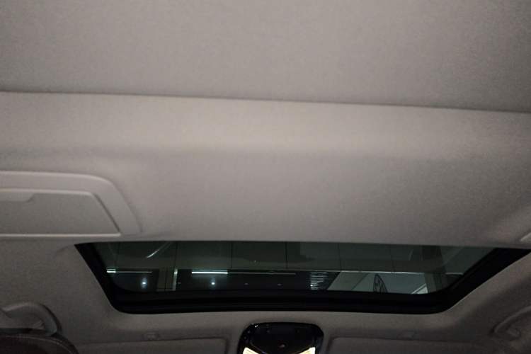 Used BMW 5 Series New Energy 2021 535Le Luxury Package Headliner