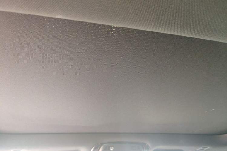 Used BMW 5 Series New Energy 2021 535Le M Sport Package Headliner