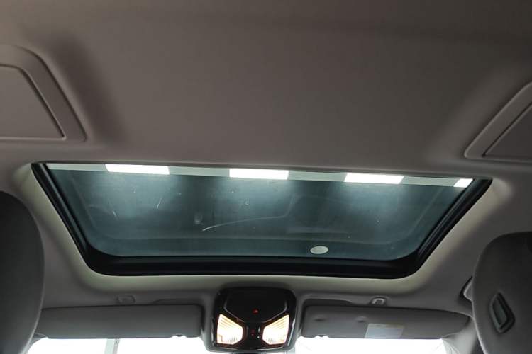 Used BMW 5 Series New Energy 2021 535Le Luxury Package Headliner