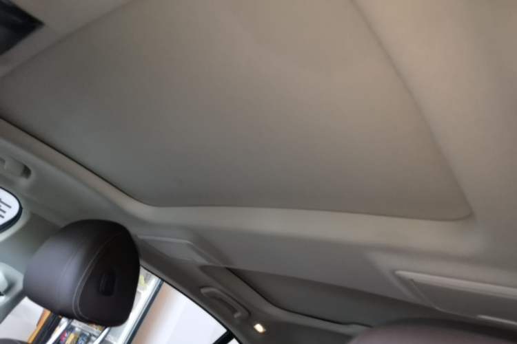 Used BMW 5 Series New Energy 2021 535Le Luxury Package Headliner