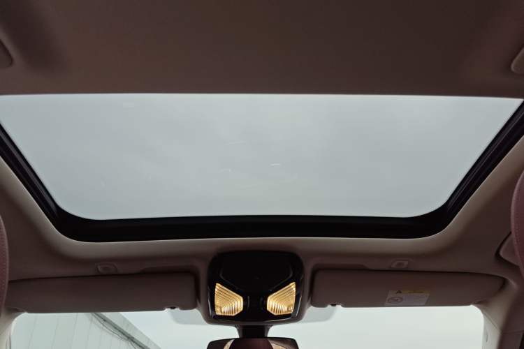 Used BMW 5 Series New Energy 2021 535Le Luxury Package Headliner