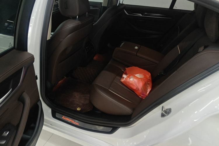 Used BMW 5 Series New Energy 2021 535Le Luxury Package Left Rear Seat