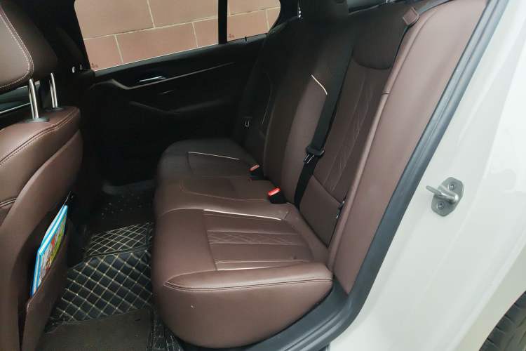 Used BMW 5 Series New Energy 2021 535Le M Sport Package Left Rear Seat