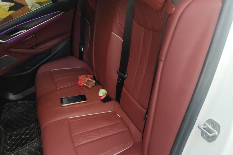 Used BMW 5 Series New Energy 2021 Restyled 535Le M Sport Package Left Rear Seat