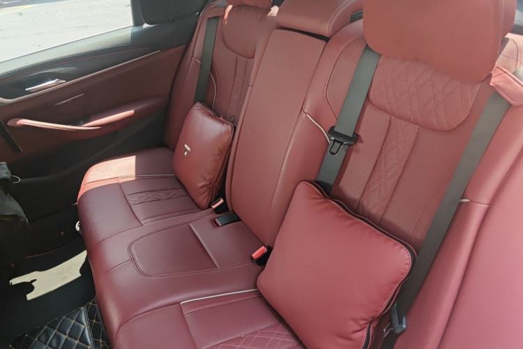 Used BMW 5 Series New Energy 2021 535Le M Sport Package Left Rear Seat