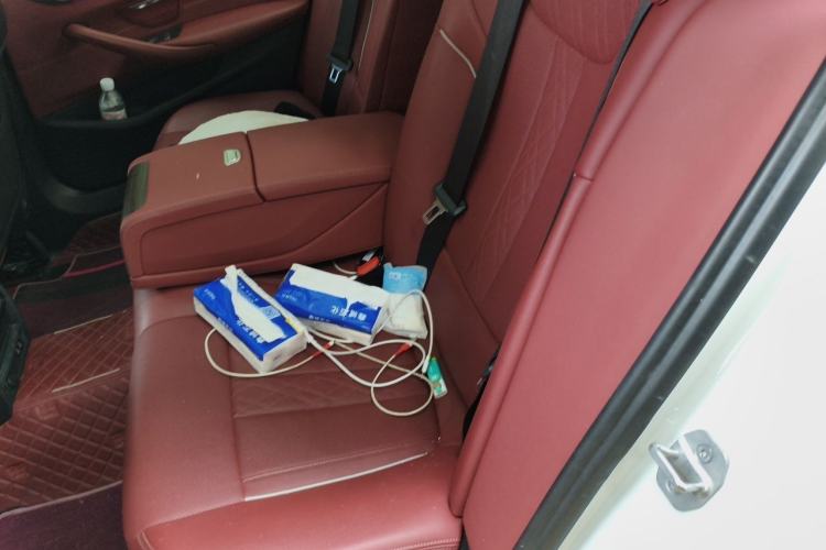 Used BMW 5 Series New Energy 2021 535Le Luxury Package Left Rear Seat
