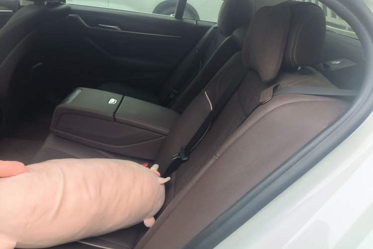 Used BMW 5 Series New Energy 2021 535Le Luxury Package Left Rear Seat