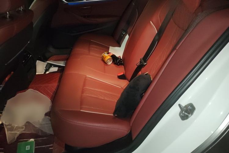 Used BMW 5 Series New Energy 2021 Restyled 535Le M Sport Package Left Rear Seat