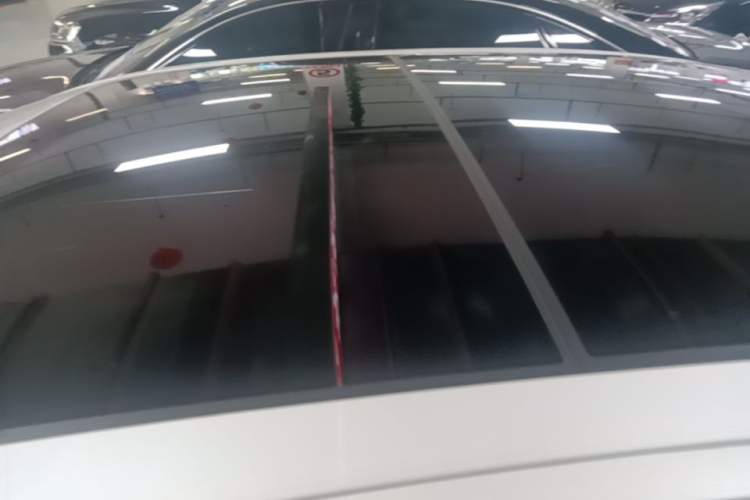 Used BMW 5 Series New Energy 2021 535Le M Sport Package Roof