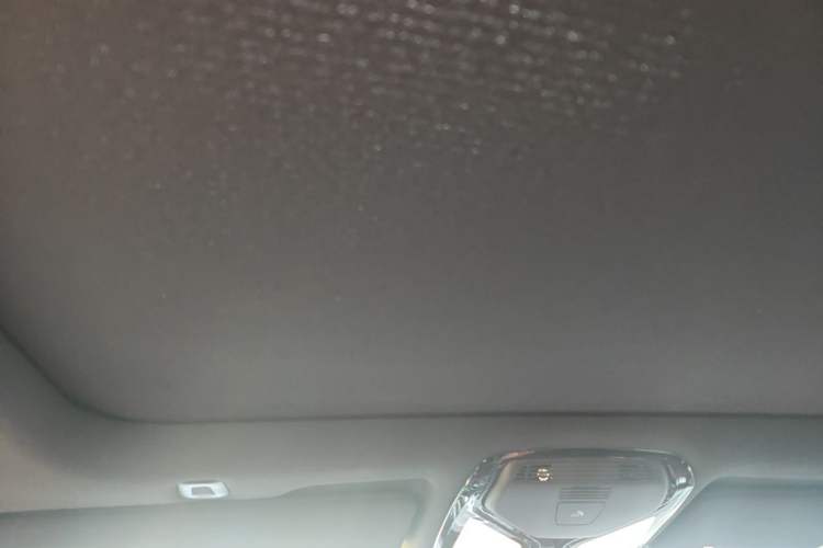 Used BMW 5 Series New Energy 2022 Restyled 535Le M Sport Package Headliner