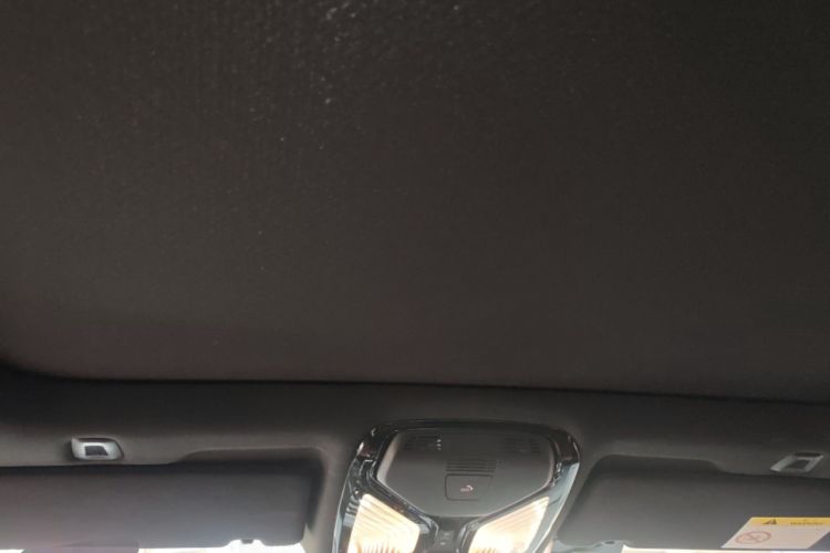 Used BMW 5 Series New Energy 2022 Restyled 535Le M Sport Package Headliner