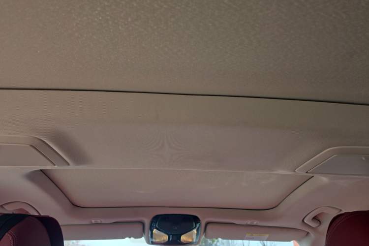 Used BMW 5 Series New Energy 2022 Updated Version 535Le Luxury Package Headliner