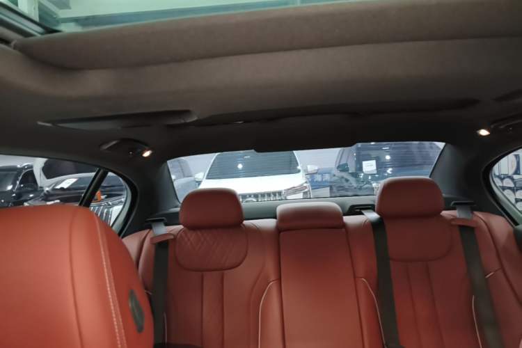 Used BMW 5 Series New Energy 2022 Restyled 535Le M Sport Package Headliner