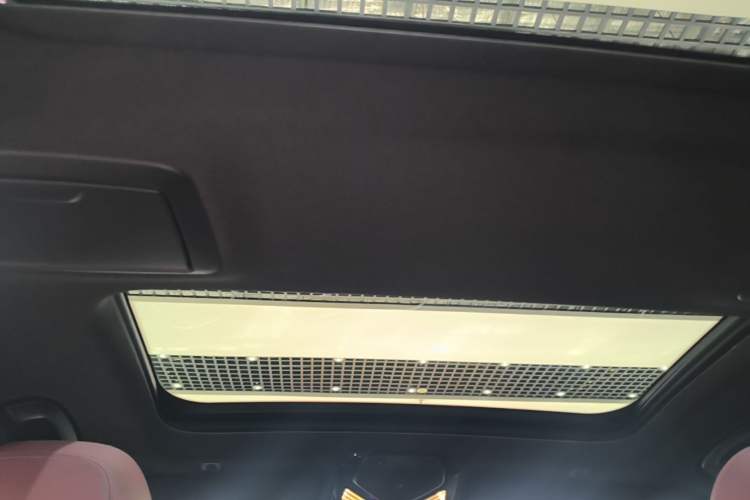 Used BMW 5 Series New Energy 2022 Second Facelift 535Le M Sport Package Headliner