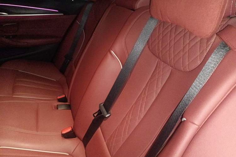 Used BMW 5 Series New Energy 2022 Second Facelift 535Le Luxury Package Left Rear Seat
