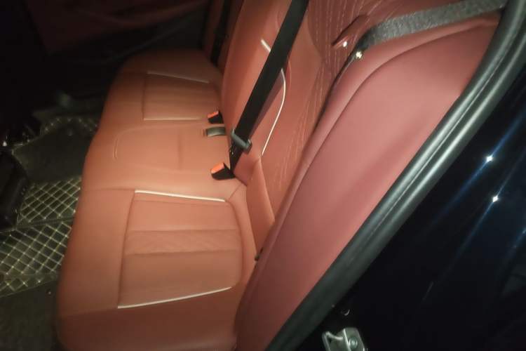 Used BMW 5 Series New Energy 2022 Updated Version 535Le Luxury Package Left Rear Seat