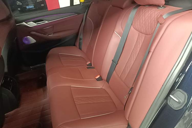 Used BMW 5 Series New Energy 2022 Second Facelift 535Le M Sport Package Left Rear Seat