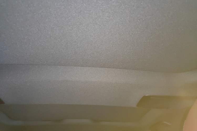 Used BMW 5 Series New Energy 2022 535Le M Sport Package Headliner