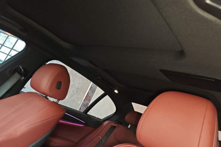 Used BMW 5 Series New Energy 2022 535Le M Sport Package Headliner