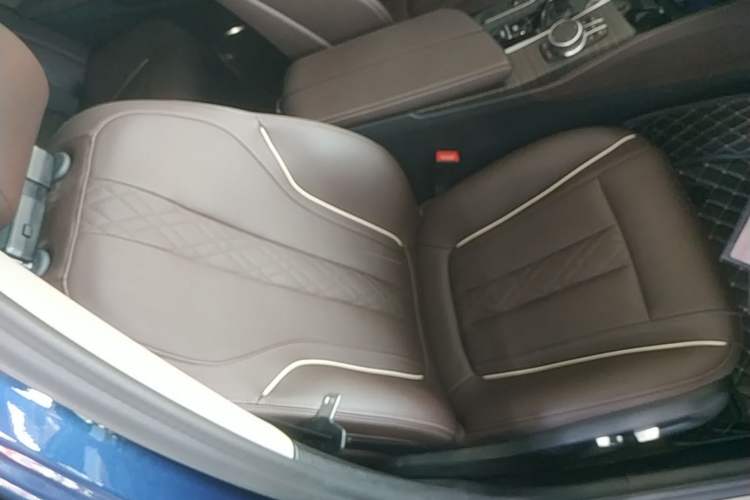 Used BMW 5 Series New Energy 2022 Updated Version 535Le Luxury Package Right Front Seat