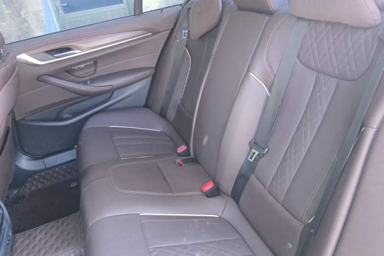 Used BMW 5 Series New Energy 2022 535Le Luxury Package Left Rear Seat