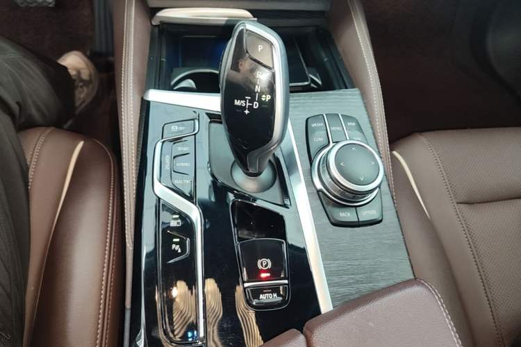Used BMW 5 Series New Energy 2022 Restyled 535Le M Sport Package Gear Lever