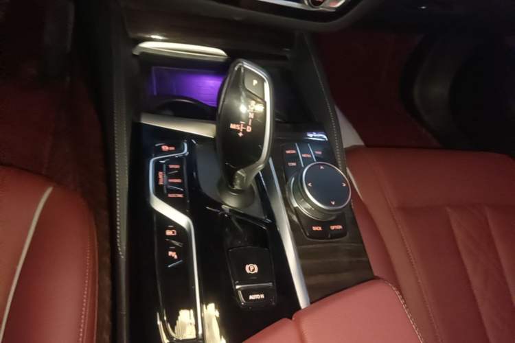 Used BMW 5 Series New Energy 2022 Restyled 535Le M Sport Package Gear Lever