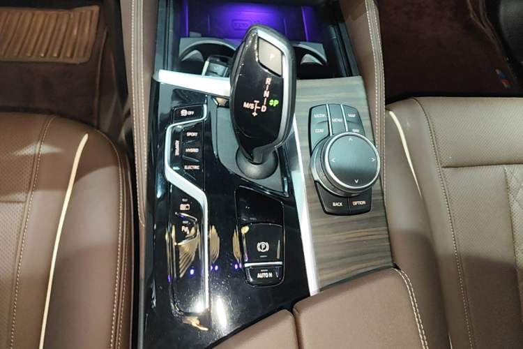 Used BMW 5 Series New Energy 2022 Updated Version 535Le Luxury Package Gear Lever