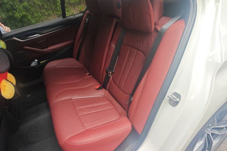 Used BMW 5 Series New Energy 2022 Second Facelift 535Le Pioneer Edition M Sport Package Left Rear Seat