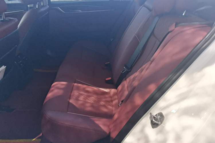 Used BMW 5 Series New Energy 2022 Updated Version 535Le Luxury Package Left Rear Seat