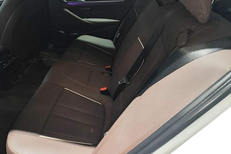 Used BMW 5 Series New Energy 2022 Updated Version 535Le Luxury Package Left Rear Seat