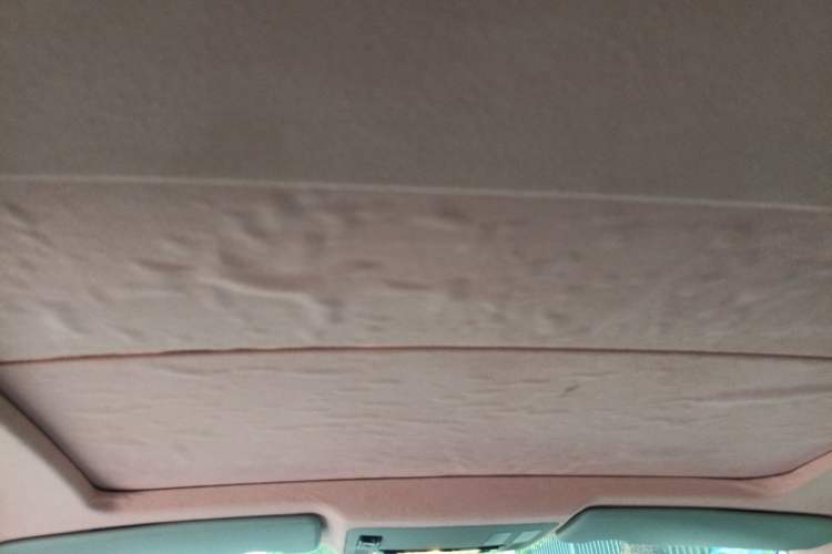 Used BMW 6 Series 2007 630i Coupe Headliner