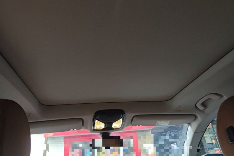 Used BMW 6 Series  Headliner