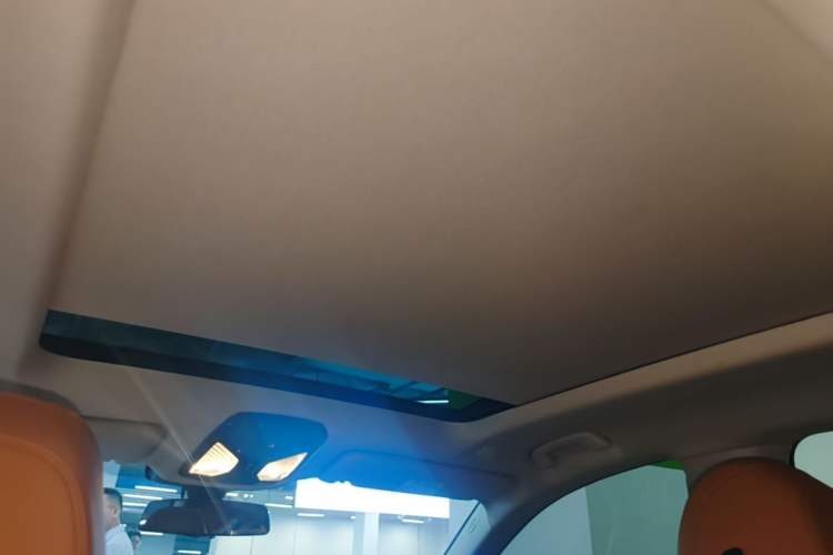 Used BMW 6 Series GT 2018 630i Luxury Design Package Headliner